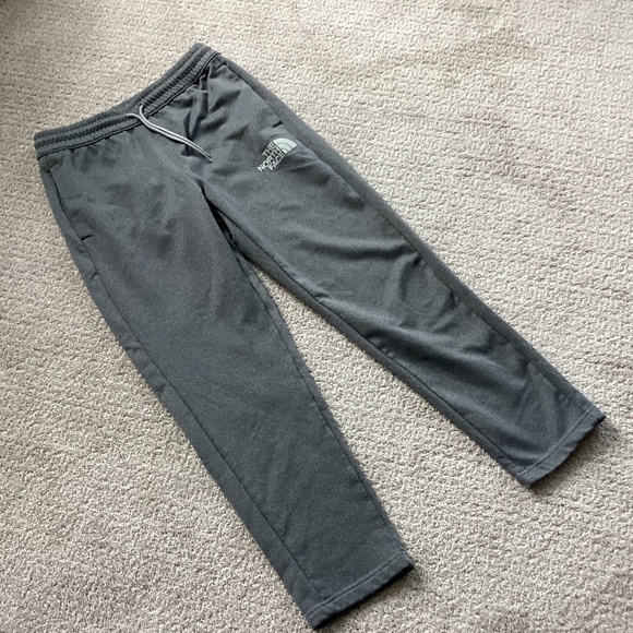The North Face Gray Sweatpants - Picture 2 of 6